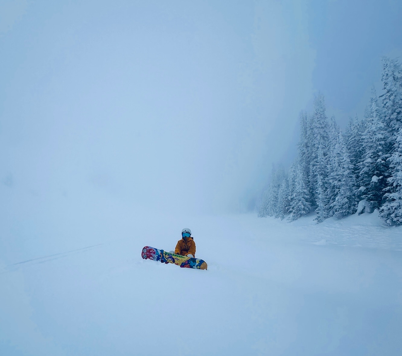 Erin Yang snowboarding in a snowy forest